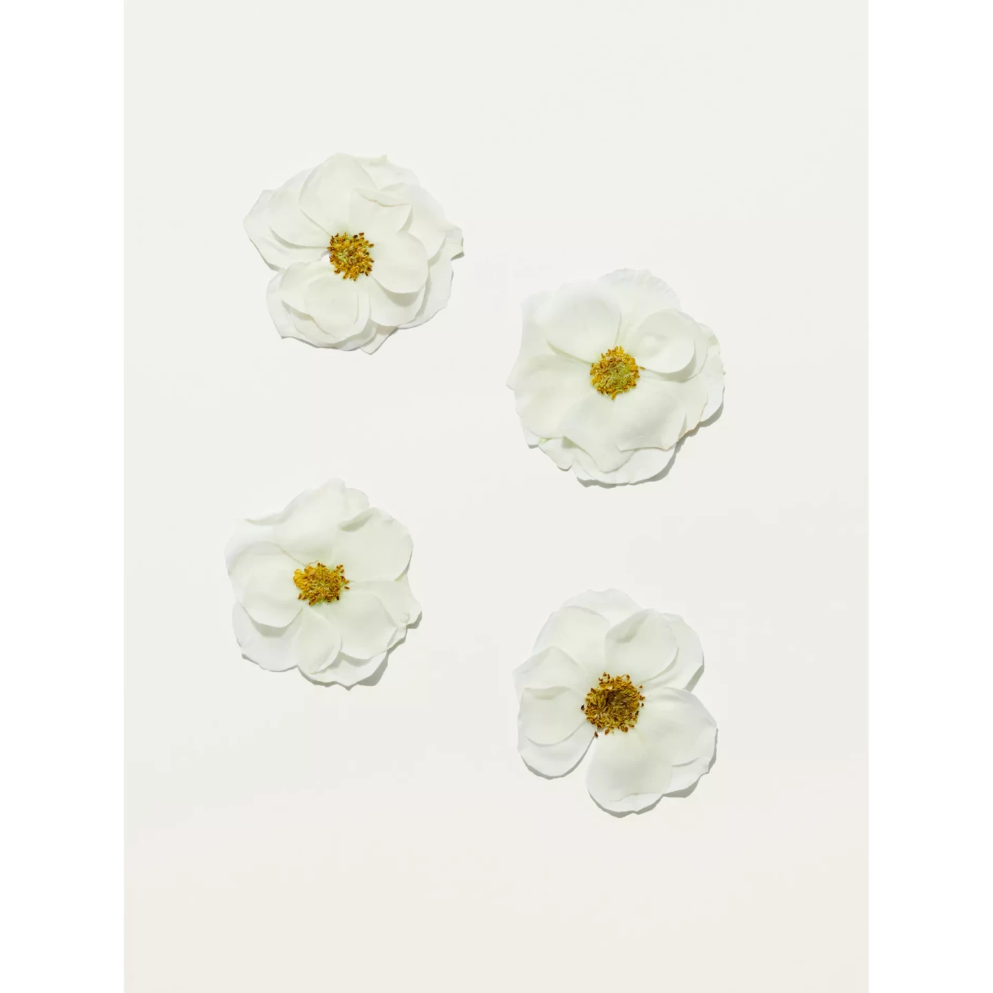 Eau de Toilette Her Blossom 2