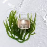 Shiseido BENEFIANCE Wrinkle Smoothing Eye Cream 15ml