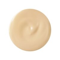Diego dalla Palma VISO MAKEUPSTUDIO Fondotinta Alta Coprenza SPF20 Colore 211