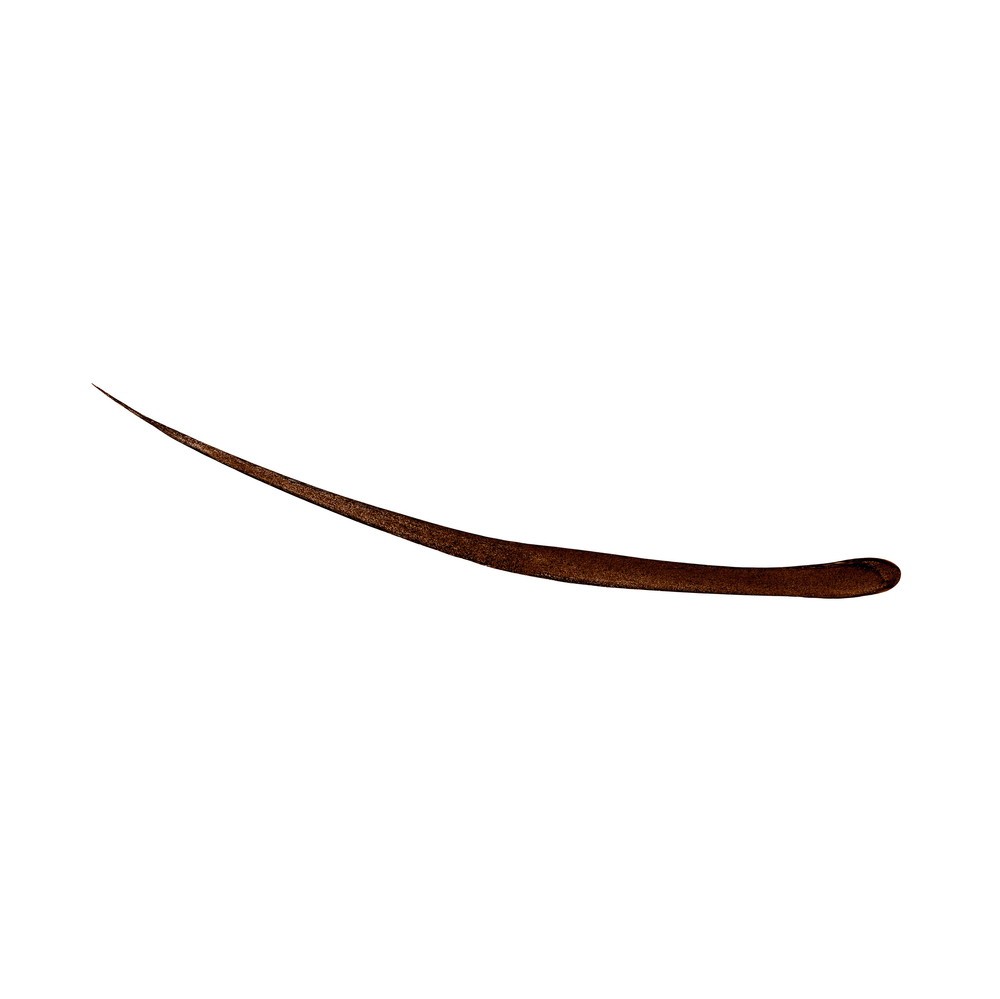 Diego dalla Palma OCCHI Delineatore Per Occhi Eyeliner Colore 02