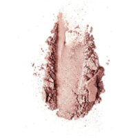 Diego dalla Palma OCCHI Ombretto Perlato Refill System Colore 121