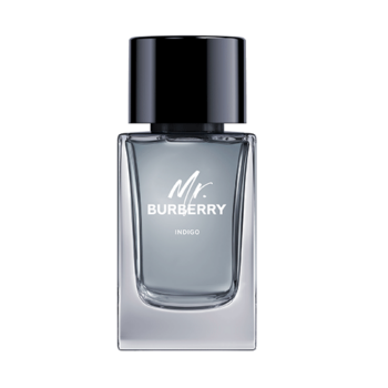 MR. BURBERRY INDIGO