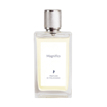 MAGNIFICO